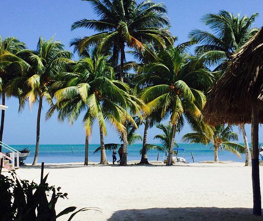 Caye Caulker